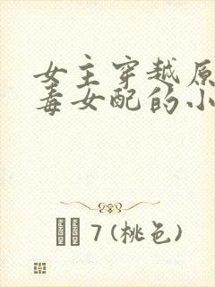 女主穿越原耽恶毒女配的小说