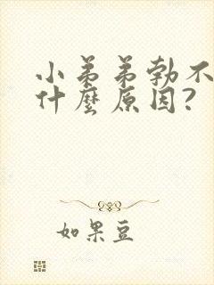 小弟弟勃不起是什么原因?