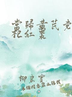 当归黄芪党参枸杞红枣