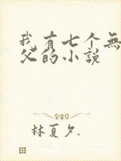 我有七个无敌师父的小说