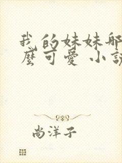 我的妹妹哪有这么可爱 小说