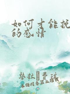 如何才能挽回我的感情