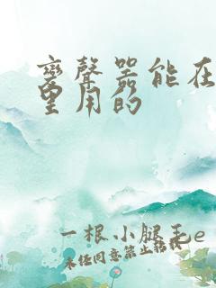 变声器能在游戏里用的