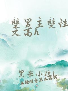 双男主双性生子文高h