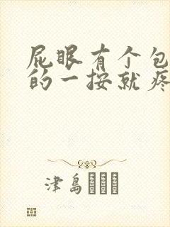 屁眼有个包硬硬的一按就疼怎么办