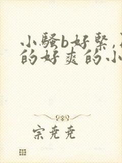 小骚b好紧,日的好爽的小说