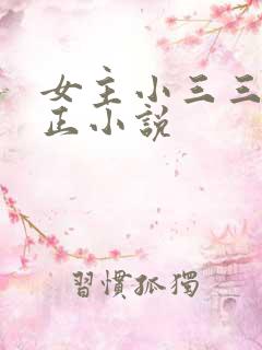 女主小三三观不正小说