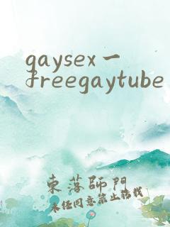 gaysex一freegaytube