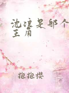 沈浪是那个小说主角