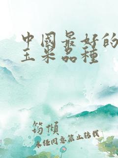 中国最好的高产玉米品种