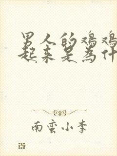 男人的鸡鸡硬不起来是为什么