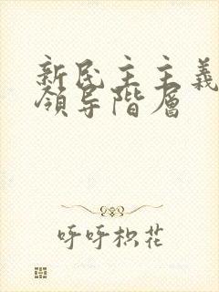 新民主主义革命领导阶层