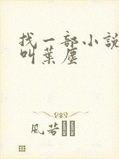 找一部小说主角叫叶尘