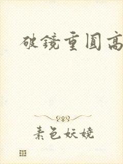 破镜重圆高干文