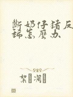 断奶仔猪反复拉稀怎么办