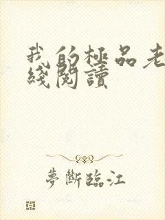 我的极品老婆在线阅读