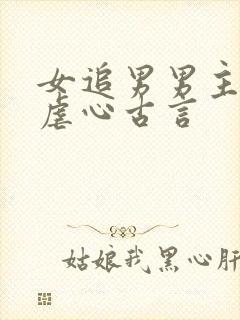 女追男男主很冷虐心古言