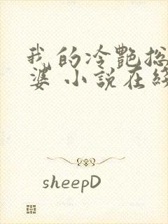 我的冷艳总裁老婆 小说在线阅读