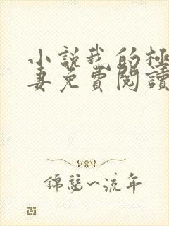 小说我的极品娇妻免费阅读