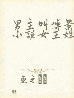 男主叫傅景琛的小说女主姓夏