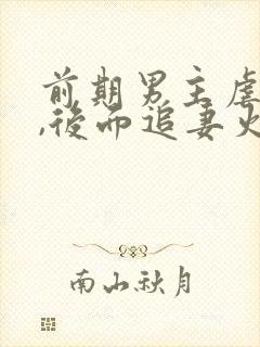 前期男主虐女主,后面追妻火葬场