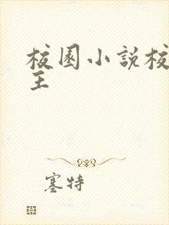 校园小说校霸男主