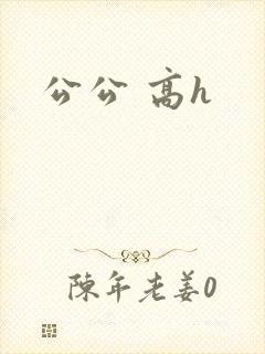 公公 高h