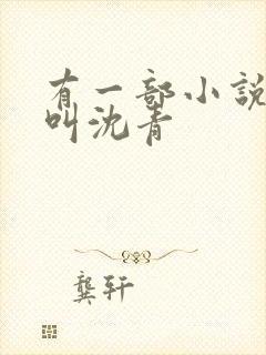 有一部小说主角叫沈青
