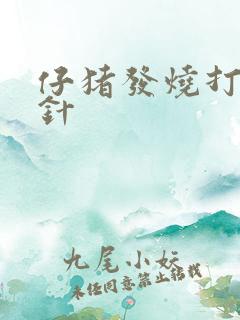 仔猪发烧打什么针