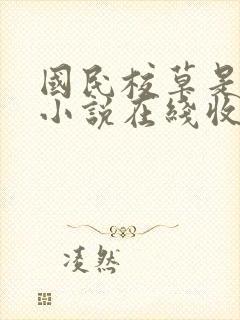 国民校草是女生小说在线收听