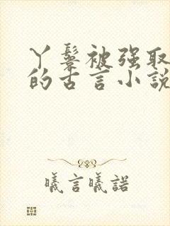 丫鬟被强取豪夺的古言小说