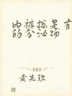 内裤总是有黄色的分泌物