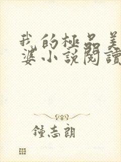 我的极品美女老婆小说阅读