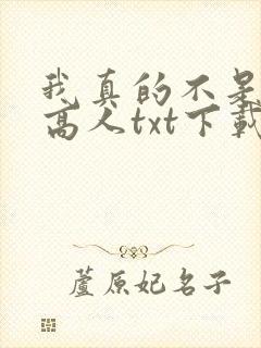 我真的不是绝世高人txt下载
