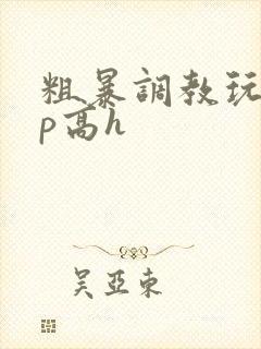 粗暴调教玩弄np高h