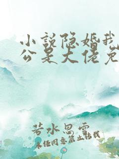 小说隐婚我的老公是大佬免费阅读