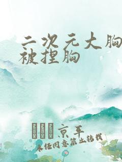 二次元大胸美女被捏胸