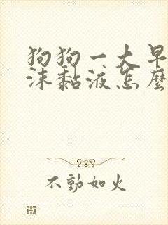 狗狗一大早吐白沫黏液怎么办