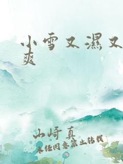 小雪又湿又紧真爽