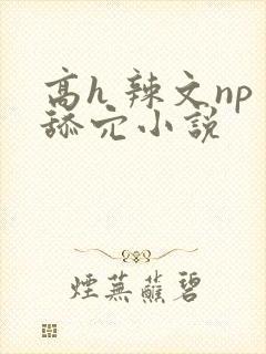 高h 辣文np舔穴小说