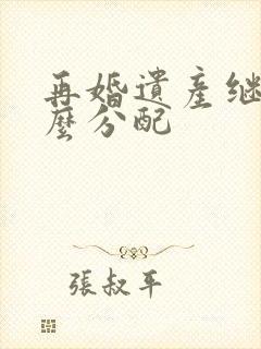 再婚遗产继承怎么分配