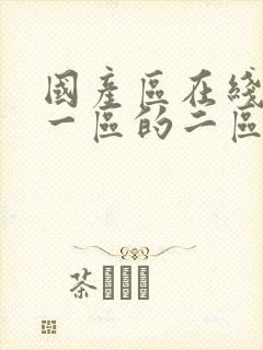 国产区在线播放一区的二区