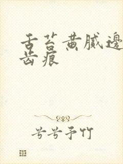 舌苔黄腻边上有齿痕