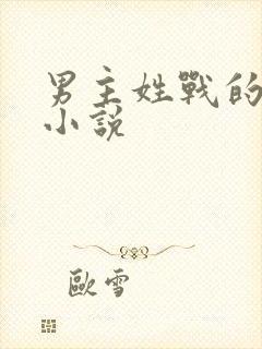 男主姓战的总裁小说