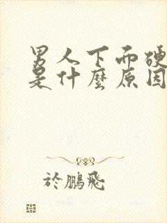 男人下面硬不起是什么原因