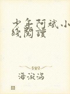 少年阿斌小说在线阅读