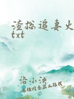 渣总追妻火葬场txt