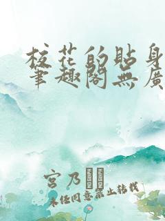 校花的贴身高手笔趣阁无广告