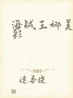 海贼王娜美h全彩