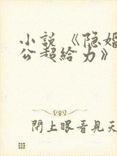 小说 《隐婚老公超给力》